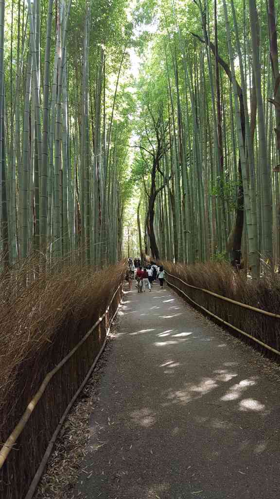 Arashiyama 2017 (23)