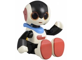 Robi Jr Robot